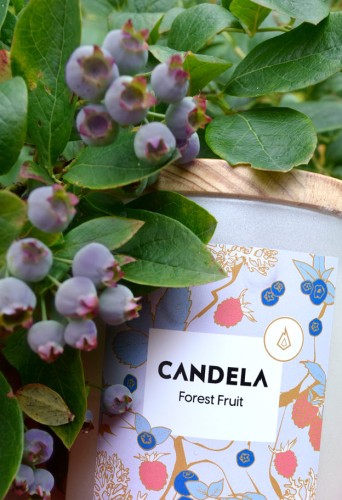 Świeca zapachowa sojowa leśne owoce od candelaworld.pl to rześki, ale słodki zapach owoców.